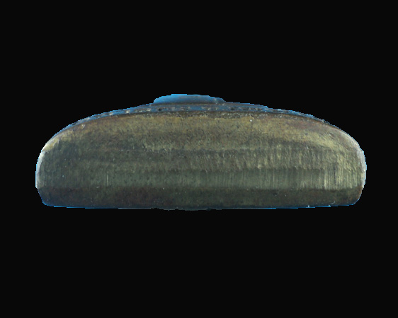 รูปหล่อปั้ม หลวงพ่ออุ้น วัดตาลกง หลังลายเซ็น