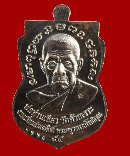 เหรียญเลื่อนสมณศักดิ์55 หลวงปู่ทวด พ่อท่านเขียว