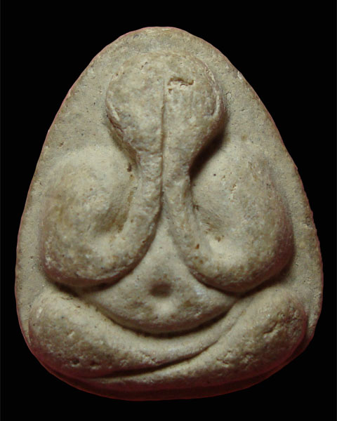 ปิดตามหาเสน่ห์ เนื้อเกสร หลวงปู่โต๊ะ วัดประดู่ฉิมพลี