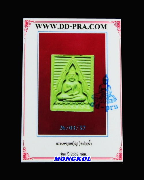 My Image 44