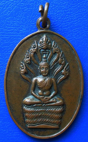 เหรียญพระนาคปรก หลังเจ้าคุณนร