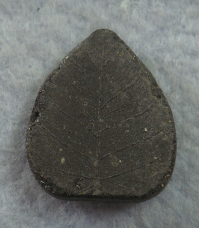 วัดใจ พระเกจิไม่ทราบที่