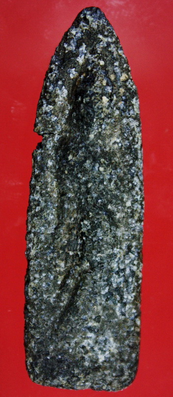 ลีลาสองหน้าเนื้อชินอุทุมพรไม่ระบุกรุ