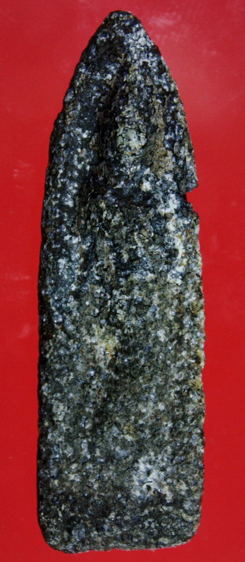 ลีลาสองหน้าเนื้อชินอุทุมพรไม่ระบุกรุ