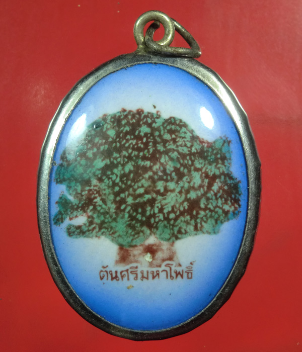 *** เคาะเดียว *** ล็อกเก็ต ต้นศรีมหาโพธิ์ วัดต้นโพธิ์ศรีมหาโพธิ์ จ.ปราจีนบุรี ..... b04