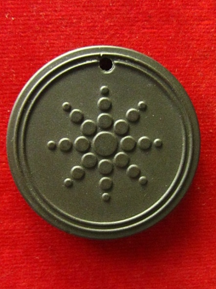 เหรียญเหรียญควอนตั้มมือสอง...สภาพดีไม่มีสร้อยครับ