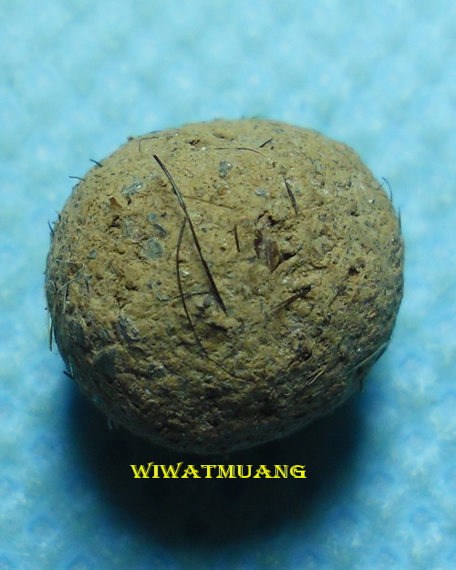 สุดยอดลูกอมเนื้อชานหมากผสมปรอทและเกศาพ่อท่านคล้าย วาจาสิทธิ์ วัดสวนขัน จ.นครศรีธรรมราช