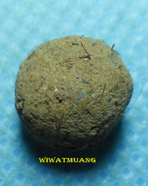 สุดยอดลูกอมเนื้อชานหมากผสมปรอทและเกศาพ่อท่านคล้าย วาจาสิทธิ์ วัดสวนขัน จ.นครศรีธรรมราช