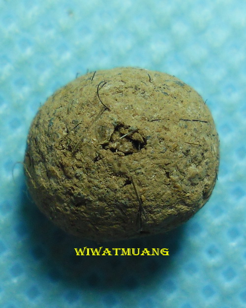 สุดยอดลูกอมเนื้อชานหมากผสมปรอทและเกศาพ่อท่านคล้าย วาจาสิทธิ์ วัดสวนขัน จ.นครศรีธรรมราช