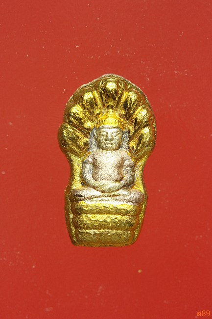 ปรกใบมะขาม หลวงพ่อแล วัดพระทรง รุ่นปกป้อง ปี 2550 พร้อมกล่องเดิม.