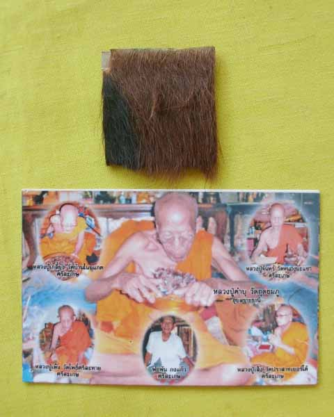 แผ่นหนังเสือพยัคราช ๕ มหาอำนาจ กรรมการ ล.ป.คำบุ "รุ่นเสาร์๕" ปี53 เคาะเดียว5