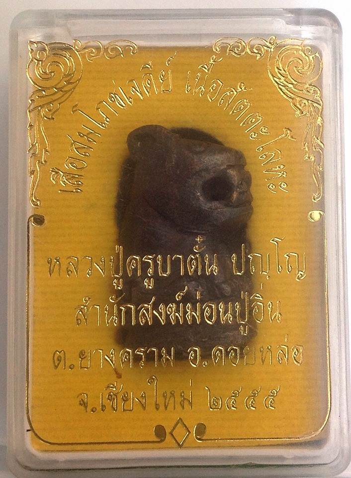 เสือสมโภชน์เจดีย์เนื้อสัตตะโลหะ หลวงปู่ครูบาตั๋น อายุ99ปีสำนักสงฆ์ม่อนปู่อิน เชียงใหม่ สุดยอดครับ