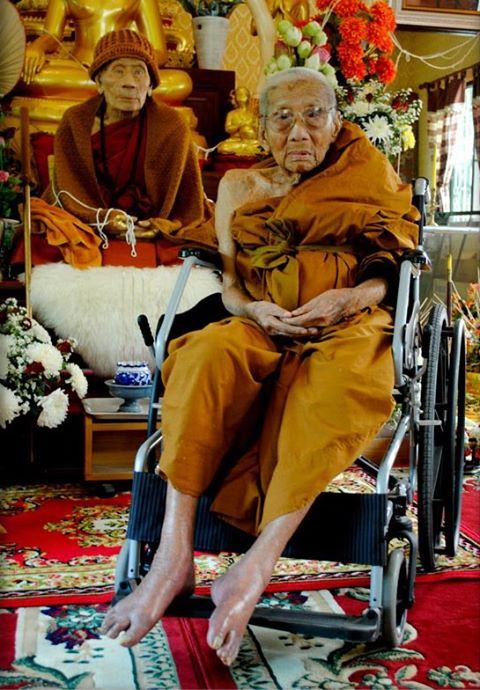 เสือสมโภชน์เจดีย์เนื้อสัตตะโลหะ หลวงปู่ครูบาตั๋น อายุ99ปีสำนักสงฆ์ม่อนปู่อิน เชียงใหม่ สุดยอดครับ 