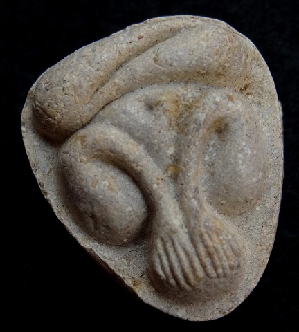 พระปิดตามหาเสน่ห์ หลังยันต์พุทโธ เนื้อเกสรเนื้อจัด