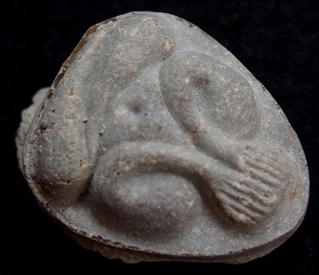 พระปิดตามหาเสน่ห์ หลังยันต์พุทโธ เนื้อเกสรเนื้อเข้มๆ