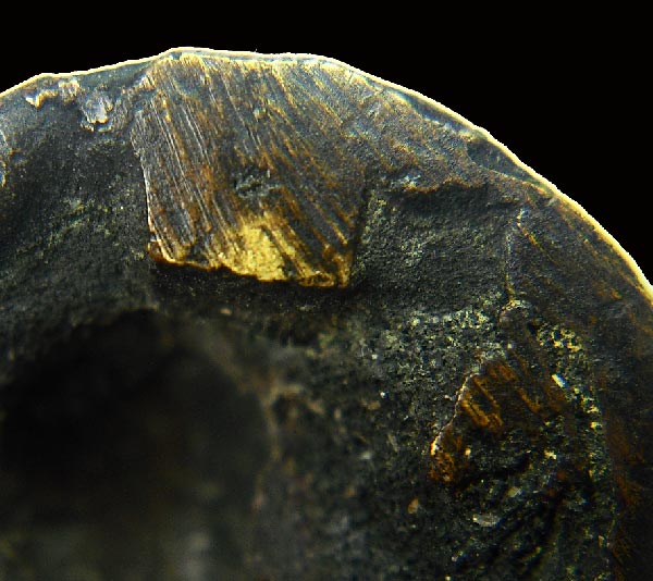 พระสังกัจจายน์หล่อโบราณ รุ่นแรก วัดสังข์กระจายวรวิหาร เนื้อทองผสม สร้างราวปี พ.ศ.2495-2499 ดินไทย