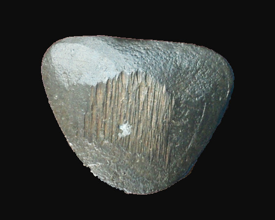 รูปหล่อ หลวงพ่อผล วัดเชิงหวาย  เนื้อนวะโลหะ  ปี 38