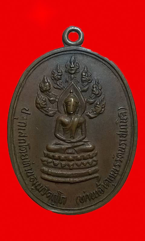 เหรียญนาคปรก จเรตำรวจ (บล๊อคดาวกระจาย)