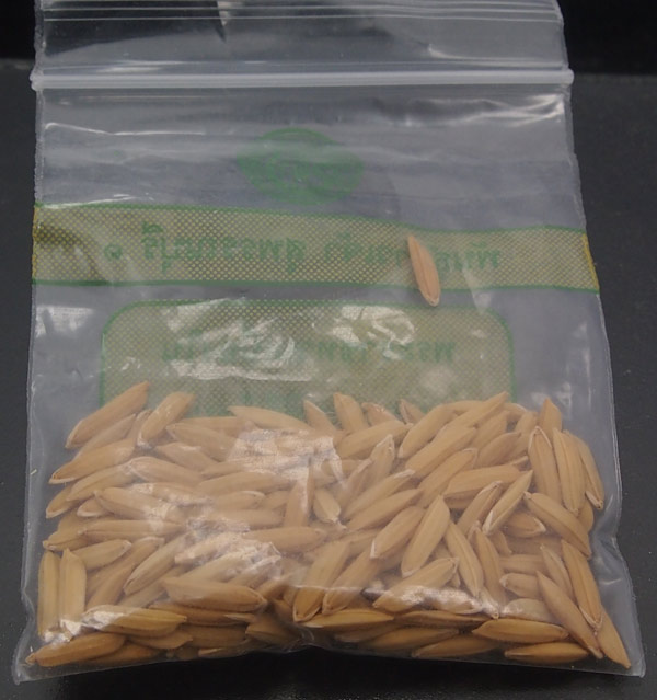 ข้าวเปลือกพระราชทาน พิธี แรกนาขวัญ ปี2550 พร้อมซองเดิมๆครับ เคาะเดียวแดง