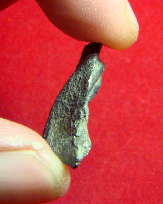 พระร่วงนั่งกรุหินตั้งเนื้อชินเงิน จ.สุโขทัย