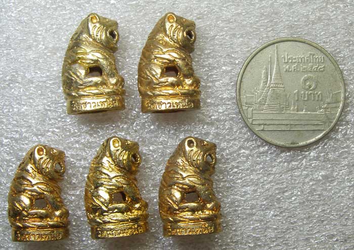 เสือจิ๋ว 5 ตัว วัดชาวเหนือ ราชบุรี