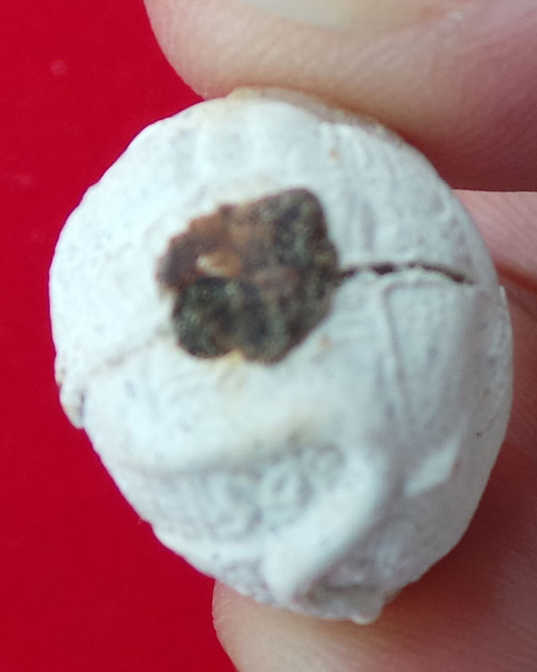 ลูกอมหนุมานครองเมือง  หลวงพ่อพูล  วัดไผ่ล้อม  จ.นครปฐม