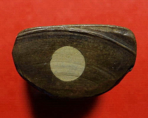 รูปหล่อพระราชเขมาจารย์(หลวงพ่อเปาะ) วัดช่องลม จ.ราชบุรี อุดกริ่ง ก้นวงเดือน สวยมากค่ะ