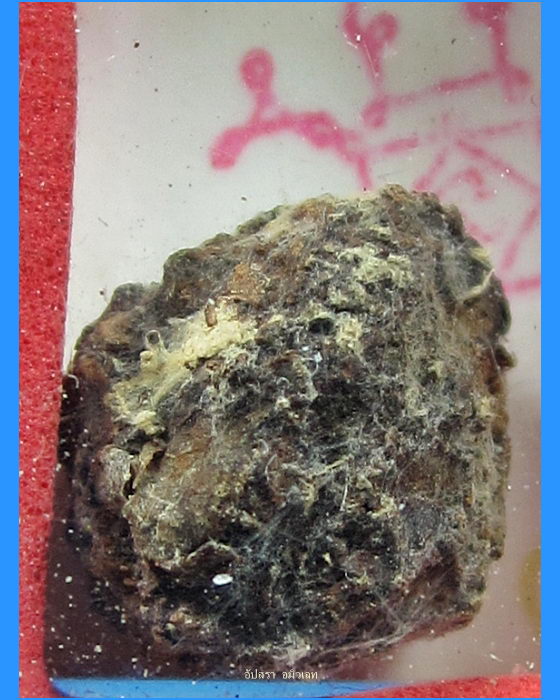 รูปถ่าย+ชานหมาก หลวงพ่ออุ้น วัดตาลกง เพชรบุรี