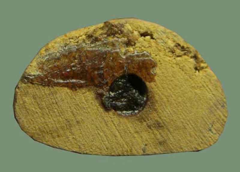 รูปหล่อหลวงพ่อเงิน  พิมพ์นิยม  เนื้อไม้โพธิ์แกะ อุดด้วยเทียนชัย 