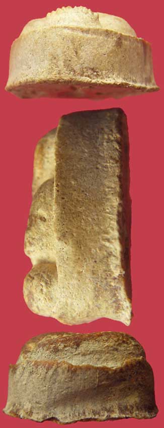 พระปิดตา หลังยันต์พุทโธ หลวงปู่โต๊ะ เนื้อผงเกสร ผิวพระแซมสีน้ำผึ้ง ซ้วยยยย..สวยยยย