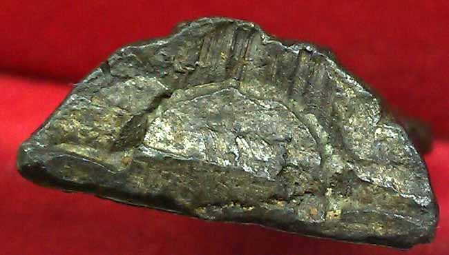 *ปรกโพธิ์ เนื้อชิน กรุวัดเลียบ กทม.*