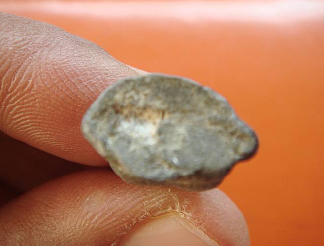 พระรอดสองหน้ากรุพะเยา จ.พะเยา