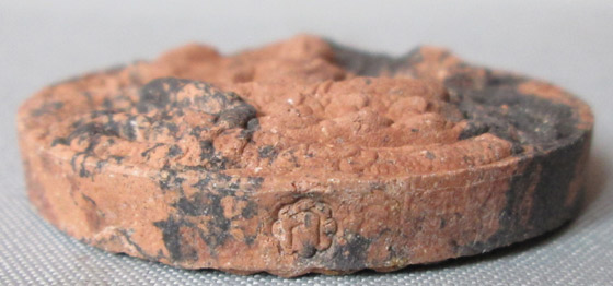 พระผงจตุคามรามเทพ มหาปาฏิหาริย์ มั่งมีทรัพย์