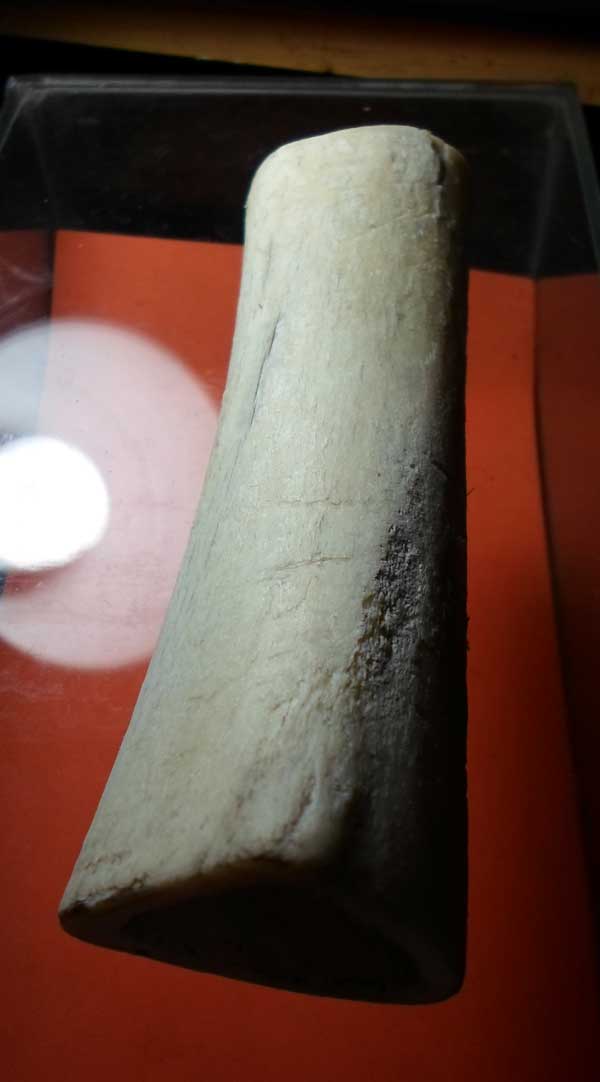 ขออนุญาตลงกระดานนี้นะครับ  ....กระดูกช้างท่อน...