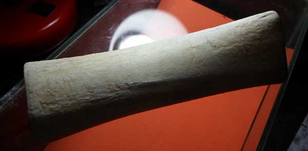 ขออนุญาตลงกระดานนี้นะครับ  ....กระดูกช้างท่อน...