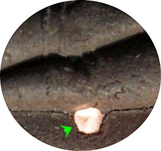 พระปิดตาปลดหนี้เนื้อผงใบลานฝังตะกรุดทองแดง ลป.บัว ถามโก เพชรกลับ ญสส.ปลุกเสกวัดพระศรีรัตนศาสดาราม