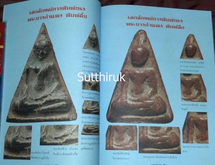 หนังสือ พระผงคู่แฝด เล่ม 1