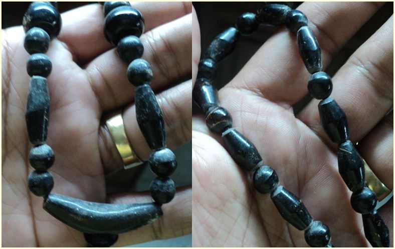 สร้อยคอ"กัลปังหา" แท้ๆ ทั้งเส้น ยาวประมาณ 26 นิ้ว ...