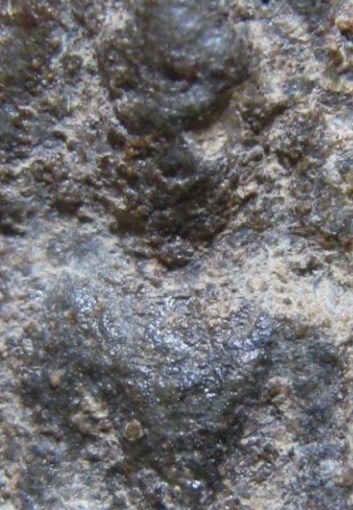 พระนางข้างเม็ด เนื้อชินเงิน จ.สุโขทัย ราคาเบา ๆ