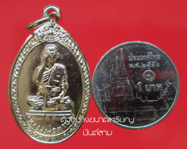 เหรียญรุ่นสุดท้าย หลวงพ่อตาบ (พระครูเวชคามคณารักษ์) วัดมะขามเรียง 10 เหรียญ
