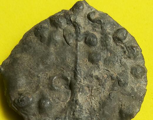 พระแท้ดูง่าย พระกรุวัดราชบูรณะ จ.อยุธยา เนื้อชินเงิน พิมพ์ซุ้มโพธิ์ใหญ่