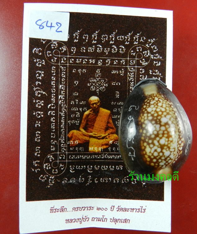 เบี้ยแก้ ปลุกเสกโดย หลวงปู่บัว ถามโก อุดผงพรายกุมารคลุกรักชันโรง เลขสวย 842 พร้อมกระดาษยันต์