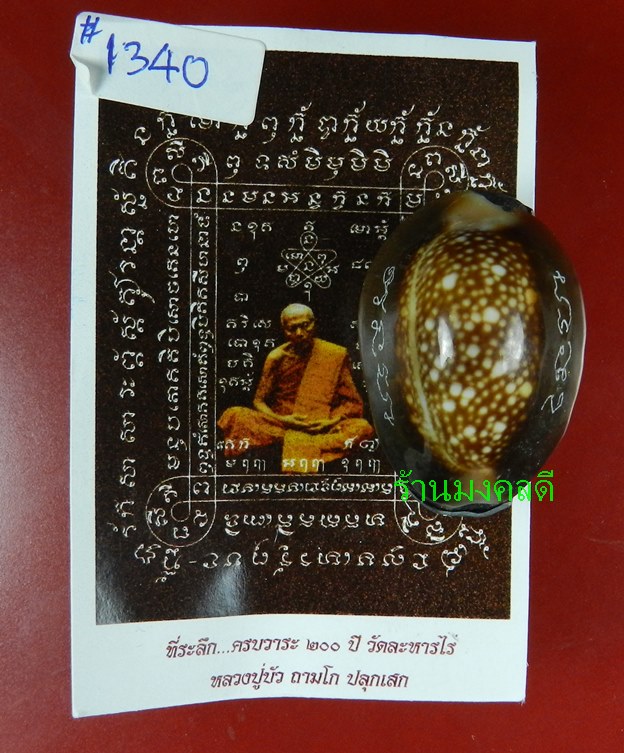 เบี้ยแก้ อุดผงพรายกุมารคลุกรักชันโรง ปลุกเสกโดย หลวงปู่บัว ถามโก  เลข 1340  พร้อมกระดาษยันต์ ปี54