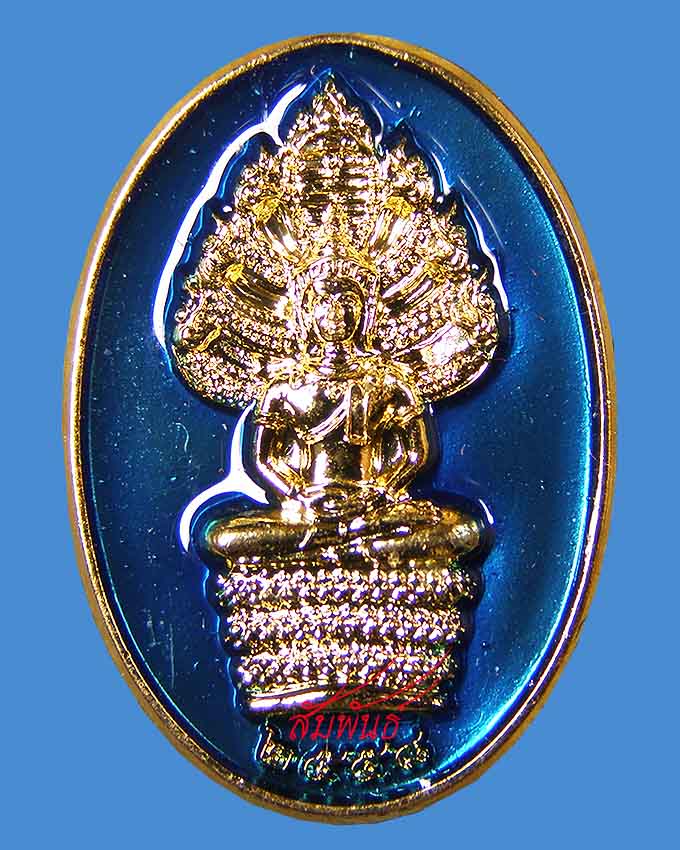 เหรียญนาคปรก กรรมการ ลพ.รวย วัดตะโก อยุธยา