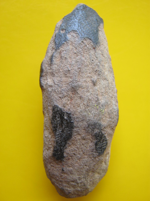 ลีลาหย่อง 