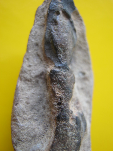 ลีลาหย่อง 