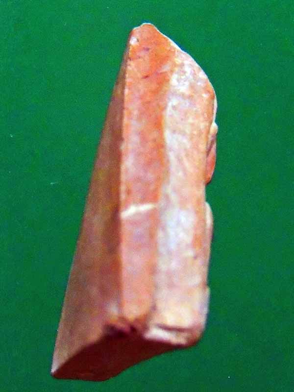 พระเนื้อดินพิมพ์นางพญา พิมพ์อกนูน หลวงปู่โต๊ะ วัดประดู่ฉิมพลี พ.ศ.2474 สภาพสวย