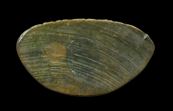 หลวงพ่อเทียน วัดหนองดง