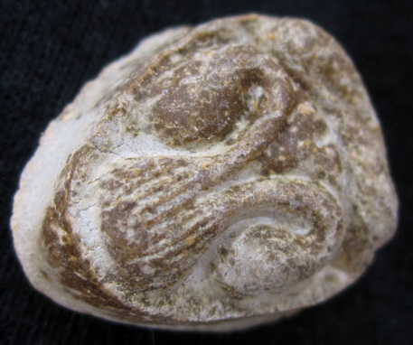 พระปิดตามหาเสน่ห์ หลังยันต์พุทธโธ หลวงปู่โตะ ปี 2521 คัดสวยครับ เนื้อผงเกษร มวลสารเข็มข้น