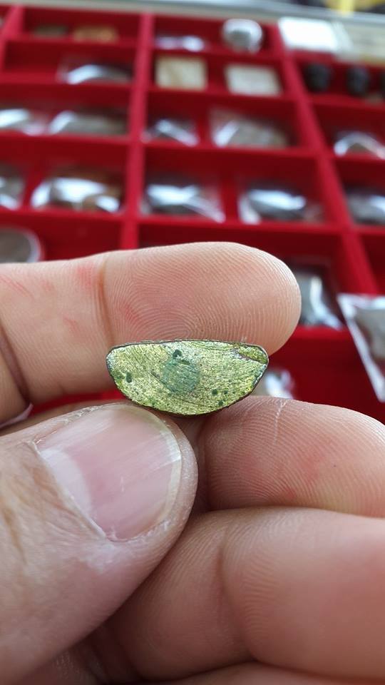 กริ่งชัยชุมพล หลวงพ่อเปลี่ยน วัดใต้ กาญจนบุรี